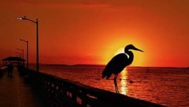 7 Best Tampa Bay Instagram