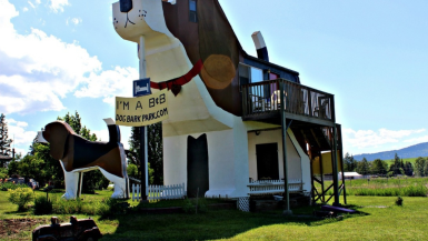 Stay In A Dog Shaped Airbnb