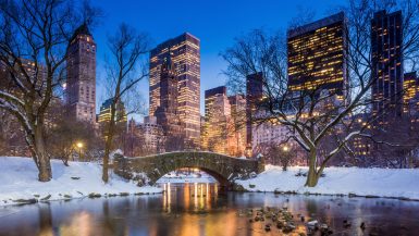 New York In The Winter