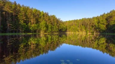 7 Best Belarus Instagram