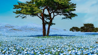 7 Best Japan Instagram