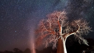 7 Best Botswana Instagram