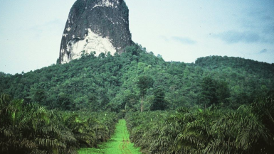 7 Best Sao Tome and Principe Instagram