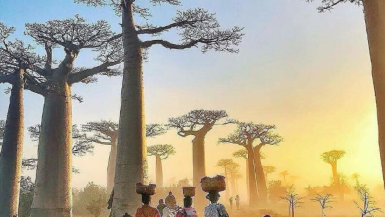 Instagrammable Spots In Madagascar