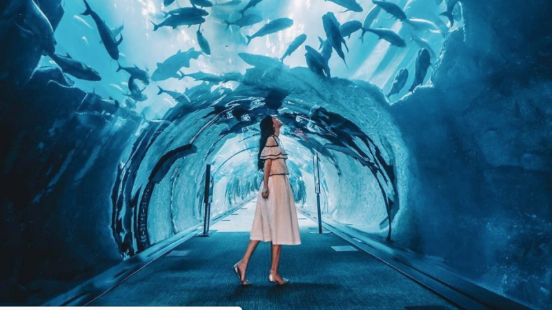 The 7 Most Instagrammable Spots In Dubai