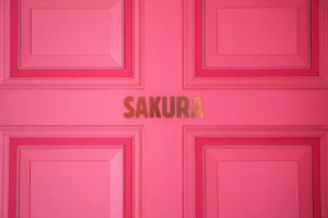 Pink entrance in Cherry Blossom Airbnb