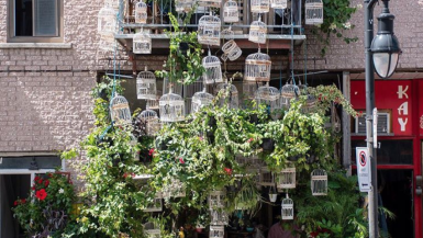 7 Best Montreal Instagram