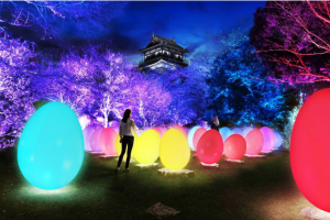 This Teamlab Japanese Art Installation