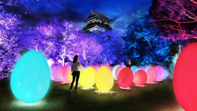 This Teamlab Japanese Art Installation