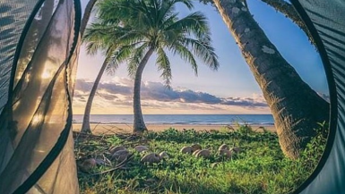 Instagrammable Spots In North Queensland