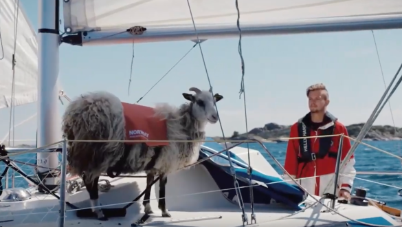 15 Travel Marketing Campaigns 2019