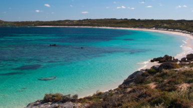 Rottnest Island In Perth