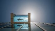 The Glass Bottomed Swimming Pool
