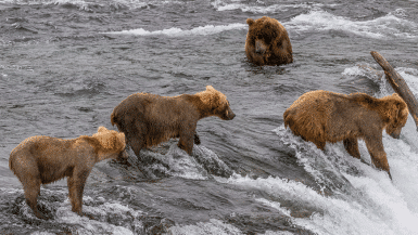 The Most Instagrammable Spots In Alaska