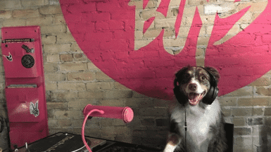 The Most Instagrammable Spots In Wisconsin