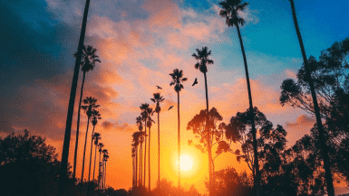 The Most Instagrammable Spots In California