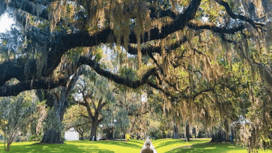 The Most Instagrammable Spots In South Carolina