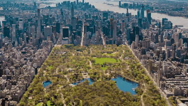 The Most Instagrammable Spots In New York