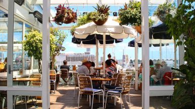 Top 7 Auckland Bars