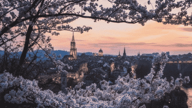 7 Best Bern Instagram