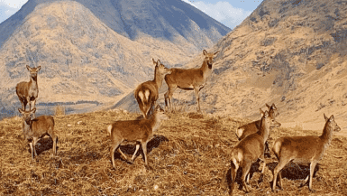 7 Best Instagrammable Spots In Scottish Highlands