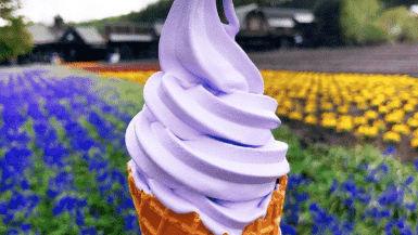 Instagrammable Spots In Sapporo