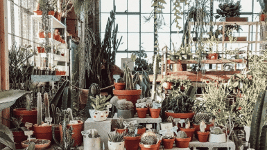 The 7 Best Atlanta Instagrammable