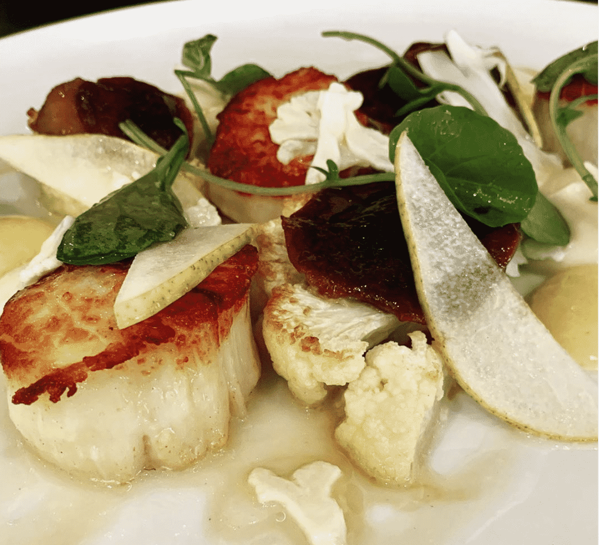 Scallops in America