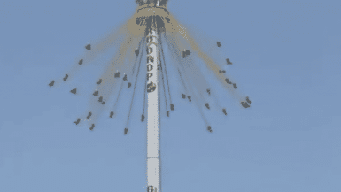 South Korean Theme Park Video