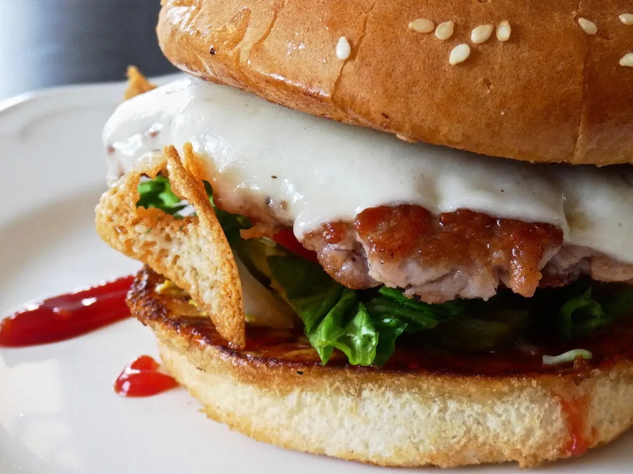 De Paula Hamburger 