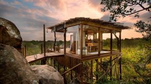 Best Safaris South Africa Lodges