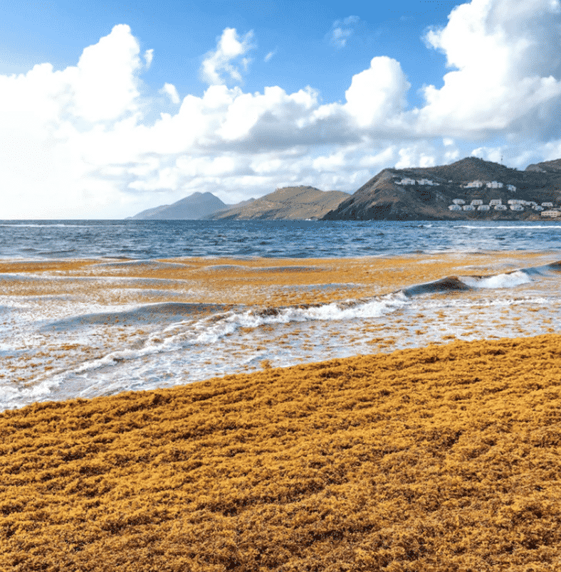 Things to do in Saint Kitts and Nevis