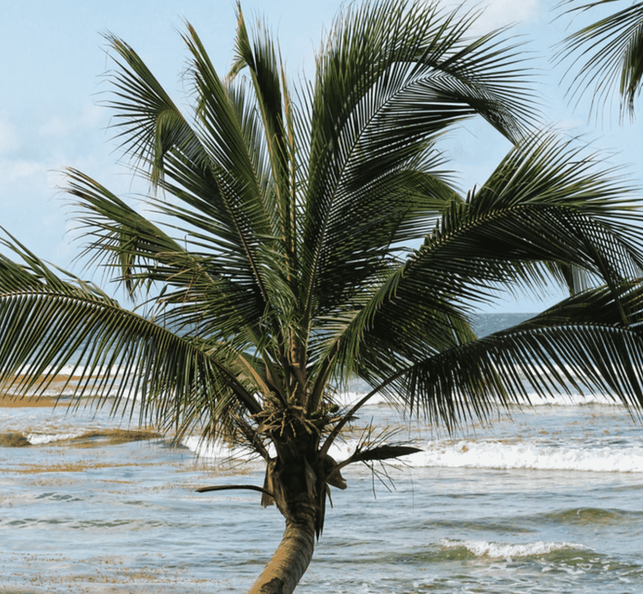 Things to do in Bridgetown