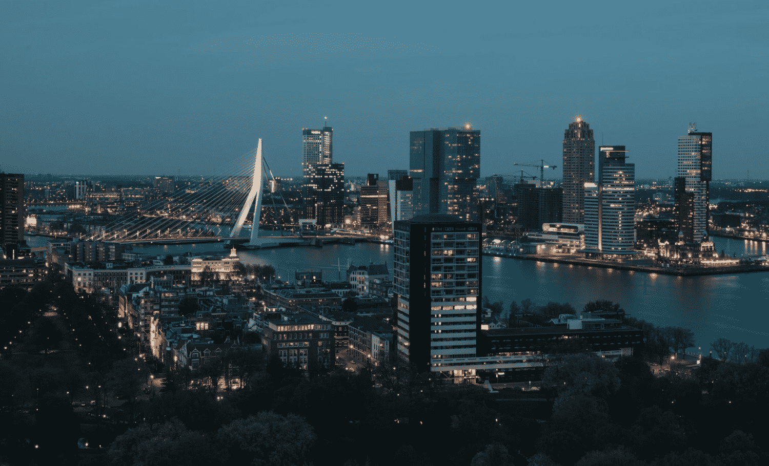 Things to do in Rotterdam