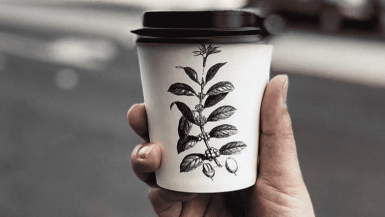 The 7 Best Coffee Shops In Canberra