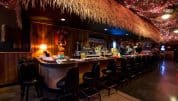 7 Best Bars In Detroit