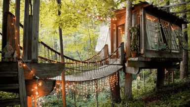 Best treehouses to rent in the world