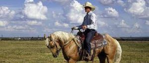 Top 10 Texas Slang Words