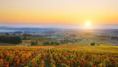 Best wine destinations in Europe
