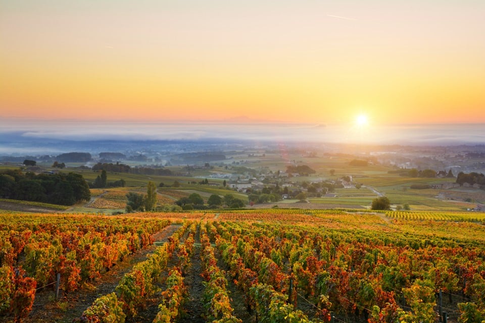 Best wine destinations in Europe