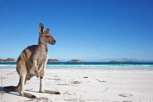 best beaches Australia