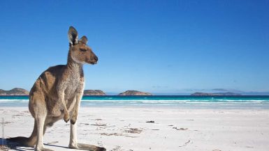 best beaches Australia