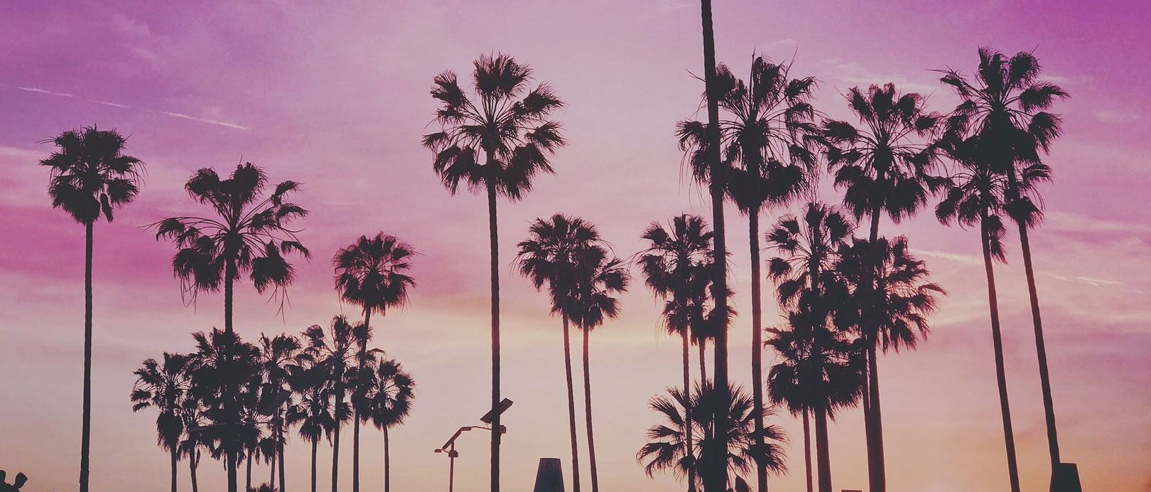 10 Miami Slang Words To Sound Like A Local Big 7 Travel