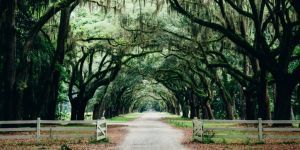 Savannah Georgia Romantic Destinations USA