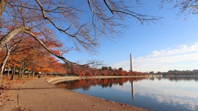 Washington DC