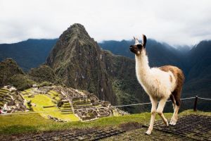 Machu Picchu guide