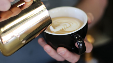 Best Florida Coffee shops