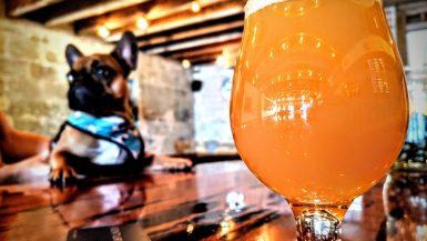 Best Craft Beer Bars In Orlando