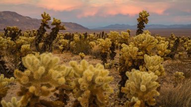 best national parks in california