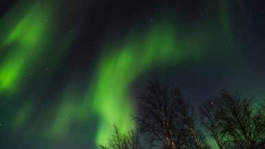 Livestream The Northern Lights